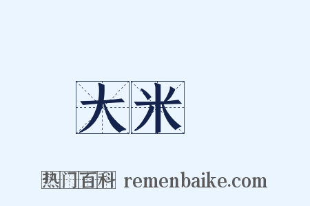 大米飯是什么意思的图片